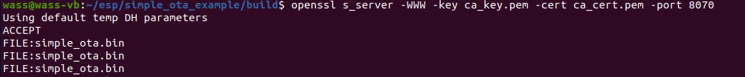 Server
